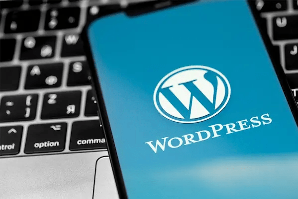 Plugin Untuk Mempercepat Loading Website&nbsp;(WordPress)